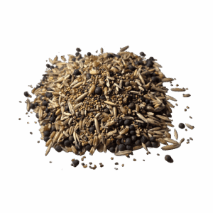 Cobertura Viva (cover crops)