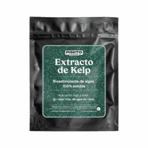 Extracto de Kelp