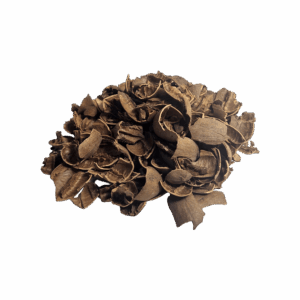 Mulch de nuez pecán