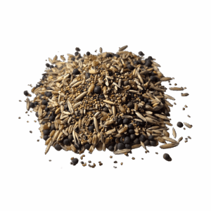 Cobertura Viva (cover crops)